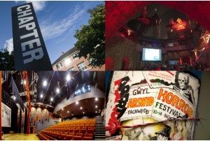 This is a collage image of four different images. Each of them show a different scene relating to film. On the top left-hand corner, there is an image of the front of Chapter Arts Centre. Next to that there is a photo of a cinema screen. On the next row down there are two photos, the photo on the left is one of a poster for a film festival, The poster is bilingual in English and in Welsh.