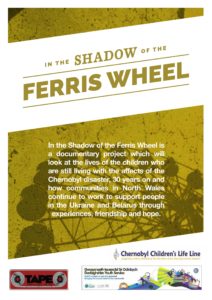 In the Shadow of the Ferris wheel poster