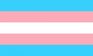 Trans flag