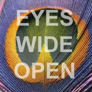 Eyes Wide Open logo