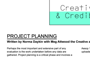Screenshot of a clipping from Creative and Credible PDF guide: Project Planning